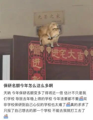 保研名额没用完？！为什么大家开始不保研了？