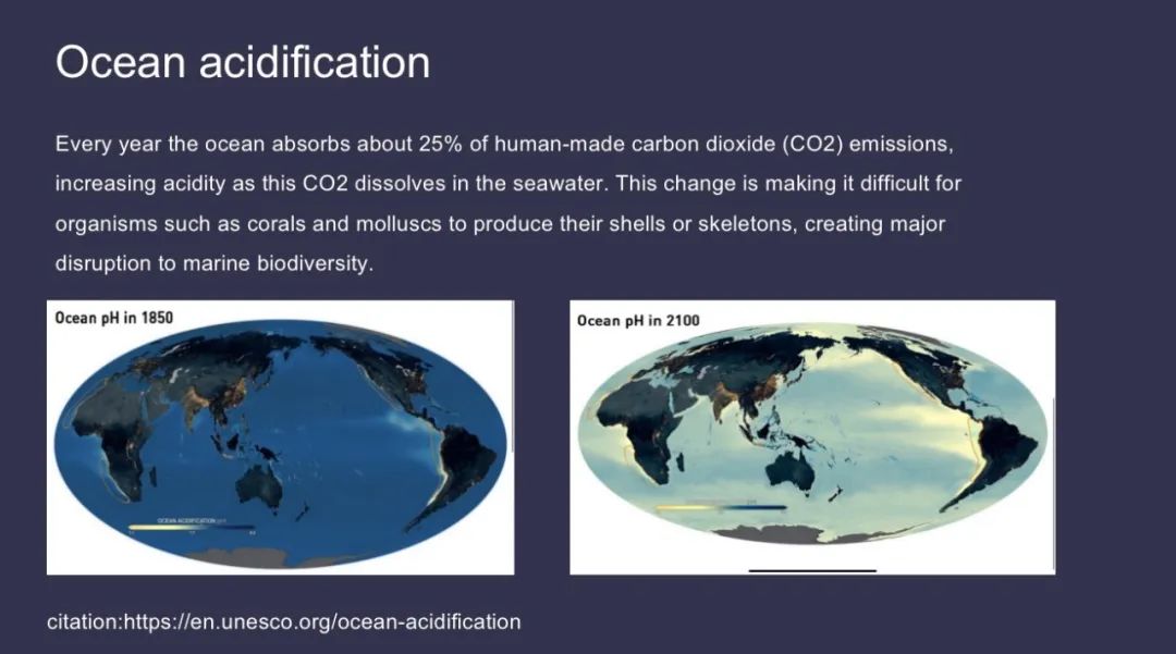 【经验分享】在帝国理工夏校，我选择了生物医学...