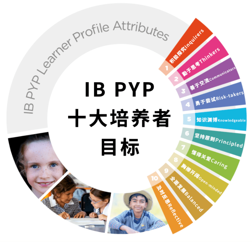 一文了解IB PYP的全部要点和特色