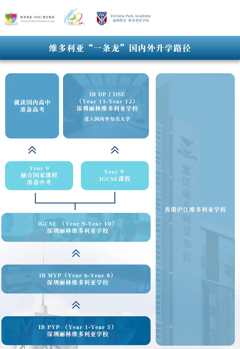 正式获IB PYP授权学校，推出百万奖学金 南山这所学校太低调了～