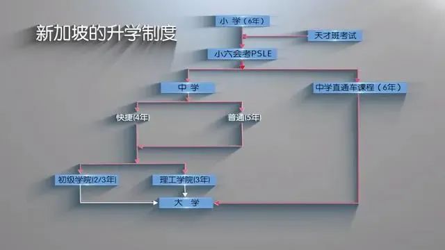 天才班计划取消，「怕输」的新加坡放弃精英教育？