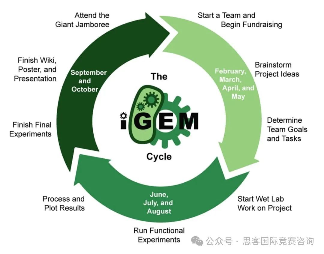 iGEM竞赛厉害在哪里？一文详解iGEM国际基因工程机器大赛！