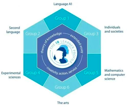 IA、TOK、EE与CAS傻傻分不清楚? 一文了解IB课程体制
